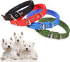 Collare-In-Nylon-Con-Imbottitura-Per-Cani-Piccola-Tg.-Chiusura-Fibbia-Regolabile