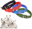 Collare-In-Nylon-Con-Imbottitura-Per-Cani-Piccola-Tg.-Chiusura-Fibbia-Regolabile