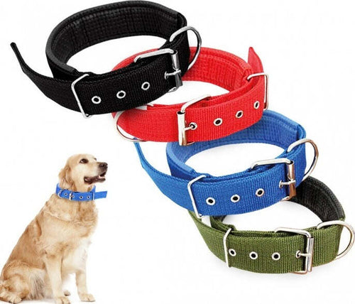 COLLARE IN NYLON CON IMBOTTITURA PER CANI TG. GRANDE CHIUSURA FIBBIA REGOLABILE Prodotti per animali domestici/Cani/Collari imbracature e guinzagli/Collari/Collari standard Trade Shop italia - Napoli, Commerciovirtuoso.it