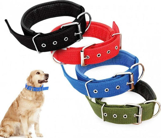 COLLARE IN NYLON CON IMBOTTITURA PER CANI TG. GRANDE CHIUSURA FIBBIA REGOLABILE Prodotti per animali domestici/Cani/Collari imbracature e guinzagli/Collari/Collari standard Trade Shop italia - Napoli, Commerciovirtuoso.it