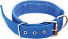 COLLARE IN NYLON CON IMBOTTITURA PER CANI TG. GRANDE CHIUSURA FIBBIA REGOLABILE Prodotti per animali domestici/Cani/Collari imbracature e guinzagli/Collari/Collari standard Trade Shop italia - Napoli, Commerciovirtuoso.it