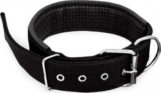 COLLARE IN NYLON CON IMBOTTITURA PER CANI TG. GRANDE CHIUSURA FIBBIA REGOLABILE Prodotti per animali domestici/Cani/Collari imbracature e guinzagli/Collari/Collari standard Trade Shop italia - Napoli, Commerciovirtuoso.it