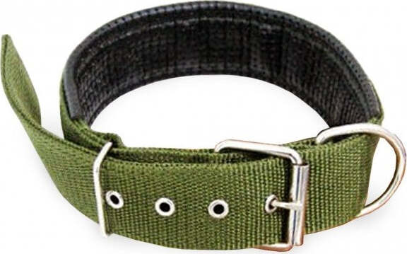 Collare In Nylon Mod. Phoenix Con Imbottitura Per Cani