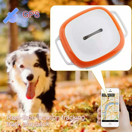 Collare Localizzatore Per Cane Gps Tracker Per Animali Bambini Auto Moto Color Prodotti per animali domestici/Cani/Collari imbracature e guinzagli/Localizzatori Trade Shop italia - Napoli, Commerciovirtuoso.it