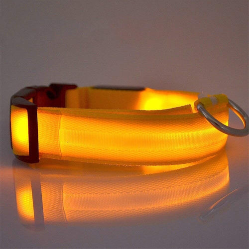 Collare Luminoso A Led Di Sicurezza Per Cani Con Luce Fissa O Lampeggiante Collari Trade Shop italia - Napoli, Commerciovirtuoso.it