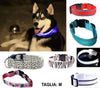 Collare Per Cane Cani A Led Luminoso Sicurezza Led Notturno Clip Fantasia Tg.m Prodotti per animali domestici/Cani/Collari imbracature e guinzagli/Collari/Collari standard Trade Shop italia - Napoli, Commerciovirtuoso.it