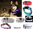 Collare Per Cane Cani A Led Luminoso Sicurezza Led Notturno Clip Fantasia Tg.m Prodotti per animali domestici/Cani/Collari imbracature e guinzagli/Collari/Collari standard Trade Shop italia - Napoli, Commerciovirtuoso.it