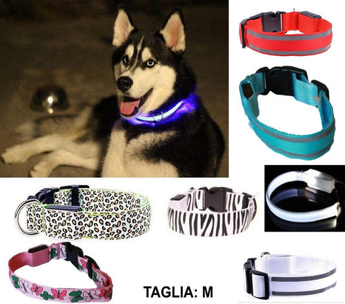Collare Per Cane Cani A Led Luminoso Sicurezza Led Notturno Clip Fantasia Tg.m Prodotti per animali domestici/Cani/Collari imbracature e guinzagli/Collari/Collari standard Trade Shop italia - Napoli, Commerciovirtuoso.it