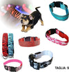Collare-Per-Cane-Cani-A-Led-Luminoso-Sicurezza-Led-Notturno-Clip-Fantasia-Tg.s