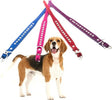 Collare-Per-Cane-Cani-Con-Strass-E-Brillantini-Brillantinato-Taglia-Piccola