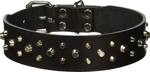 Collare per Cani in Cuoio imbottito con borchie e fibbia in metallo Prodotti per animali domestici/Cani/Collari imbracature e guinzagli/Collari/Collari standard La Zappa - Altamura, Commerciovirtuoso.it