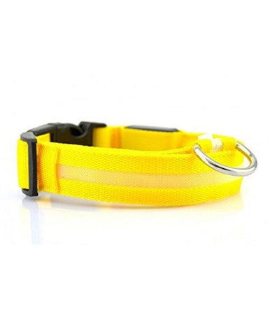 Collare Regolabile Luminoso A Led Per Cani E Gatti Vari Colori E Misure