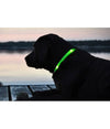 Collare Regolabile Luminoso A Led Per Cani E Gatti Vari Colori E Misure