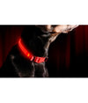 Collare Regolabile Luminoso A Led Per Cani E Gatti Vari Colori E Misure