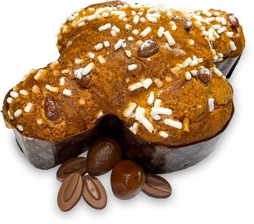 Colomba Albicocca e cioccolato al latte