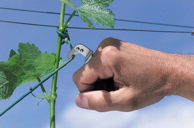 Coltello ad anello in alluminio Ø 22 mm per innesti e legacci tutori Fai da te/Utensili elettrici e a mano/Attrezzi da giardinaggio/Coltelli da giardino La Zappa - Altamura, Commerciovirtuoso.it