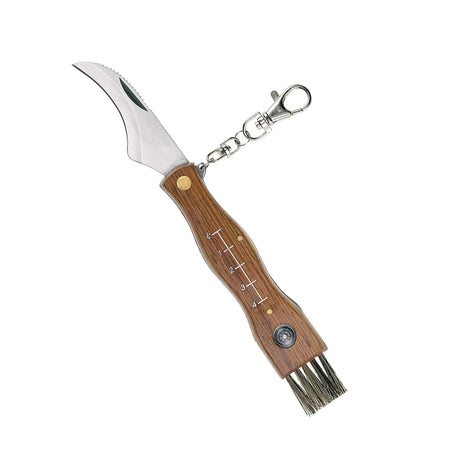 Coltello coglifunghi professionale con lama in acciaio inox per uso professionale
