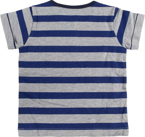Completo Baby Shark da 12 a 36 Mesi novità Moda/Bambini e ragazzi/Abbigliamento/Completi e coordinati/Completi due pezzi con pantaloncino Store Kitty Fashion - Roma, Commerciovirtuoso.it
