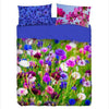 Completo-lenzuola-Bassetti-art.-Fiordaliso