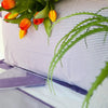 Completo Lenzuola Matrimoniale Alexander Tuscany Home Dapry – 100% Cotone