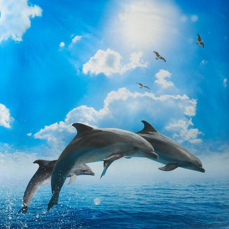 Bassetti Image Completo Lenzuola Copriletto Piazza e Mezza Flipper S90