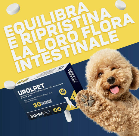 Compresse-Per-Benessere-Delle-Vie-Urinarie-Di-Cani-E-Gatti-Suprapet-Urolpet-30-Compresse-Da-1000mg---Mangime-Complementare-Naturale-Per-Cistite,-Prostata-Con-Lespedeza,-Mirtillo-Rosso,-Ananas,-Tè-Di-Giava