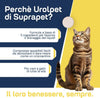 Compresse-Per-Benessere-Delle-Vie-Urinarie-Di-Cani-E-Gatti-Suprapet-Urolpet-30-Compresse-Da-1000mg---Mangime-Complementare-Naturale-Per-Cistite,-Prostata-Con-Lespedeza,-Mirtillo-Rosso,-Ananas,-Tè-Di-Giava