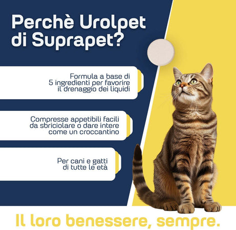 Compresse-Per-Benessere-Delle-Vie-Urinarie-Di-Cani-E-Gatti-Suprapet-Urolpet-30-Compresse-Da-1000mg---Mangime-Complementare-Naturale-Per-Cistite,-Prostata-Con-Lespedeza,-Mirtillo-Rosso,-Ananas,-Tè-Di-Giava
