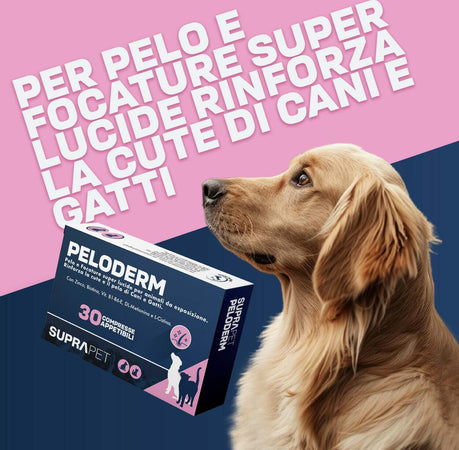 Compresse-Per-Lucentezza-Del-Pelo-Di-Cane-E-Gatto-30-Compresse-Suprapet-Pelo-E-Cute-A-Base-Di-Biotina,-Zinco,-Vitamine-B,-Metionina-E-Cistina-Per-Il-Benessere-E-La-Lucentezza-Del-Pelo---Mangime-Complementare