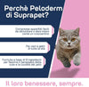 Compresse-Per-Lucentezza-Del-Pelo-Di-Cane-E-Gatto-30-Compresse-Suprapet-Pelo-E-Cute-A-Base-Di-Biotina,-Zinco,-Vitamine-B,-Metionina-E-Cistina-Per-Il-Benessere-E-La-Lucentezza-Del-Pelo---Mangime-Complementare