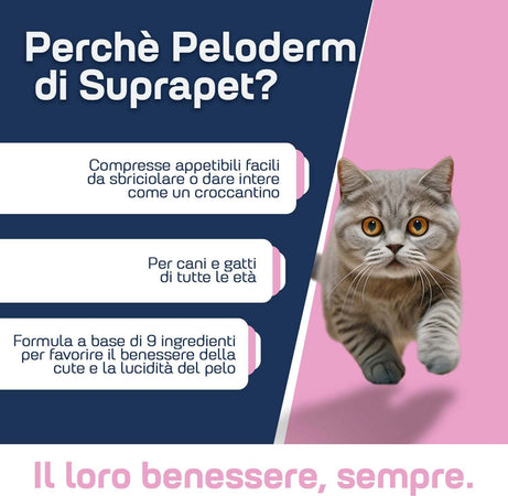 Compresse-Per-Lucentezza-Del-Pelo-Di-Cane-E-Gatto-30-Compresse-Suprapet-Pelo-E-Cute-A-Base-Di-Biotina,-Zinco,-Vitamine-B,-Metionina-E-Cistina-Per-Il-Benessere-E-La-Lucentezza-Del-Pelo---Mangime-Complementare