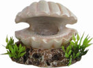 Conchiglia per acquari realistiche e collegabili a un aeratore con pietra porosa Prodotti per animali domestici/Pesci e animali d'acqua/Arredo per acquario/Oggetti Trade Shop italia - Napoli, Commerciovirtuoso.it