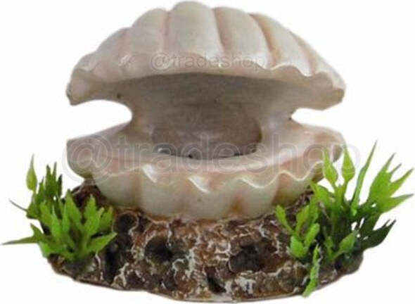 Conchiglia Per Acquari Realistiche E Collegabili A Un Aeratore Con Pietra Porosa Prodotti per animali domestici/Pesci e animali d'acqua/Arredo per acquario/Oggetti Trade Shop italia - Napoli, Commerciovirtuoso.it