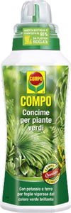 Concime liquido per piante Verdi da interno e da balcone fertilizzante per Felci 1 lt Giardino e giardinaggio/Giardinaggio/Fertilizzanti e concimi/Fertilizzanti per vegetali La Zappa - Altamura, Commerciovirtuoso.it