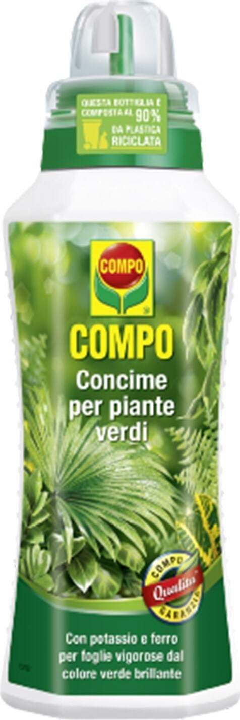 Concime liquido per piante Verdi da interno e da balcone fertilizzante per Felci 1 lt Giardino e giardinaggio/Giardinaggio/Fertilizzanti e concimi/Fertilizzanti per vegetali La Zappa - Altamura, Commerciovirtuoso.it