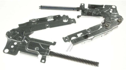 Confezione Cerniera Destra Sinistra Per Lavastoviglie AEG 4055148409