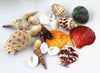 CONFEZIONE CONCHIGLIE MARE VERE ORNAMENTO PER ACQUARIO DECORAZIONI ARREDO Prodotti per animali domestici/Pesci e animali d'acqua/Arredo per acquario/Oggetti Trade Shop italia - Napoli, Commerciovirtuoso.it