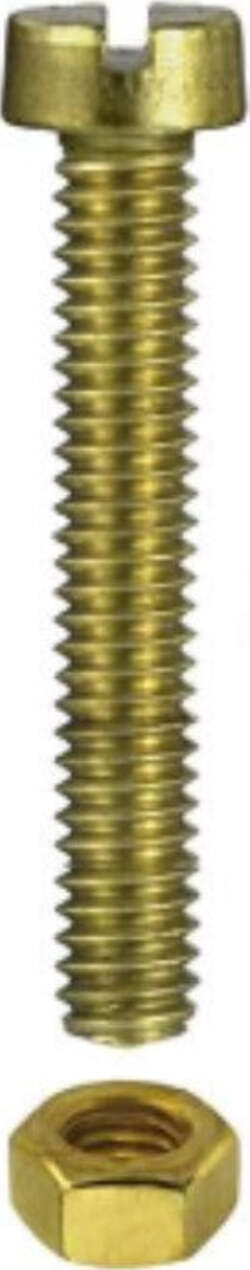 CONFEZIONE-DA-10-PEZZI---VITI-RADIO-FILETTATE-A-TESTA-CILINDICA-CON-DADO-2x10MM---IN-OTTONE