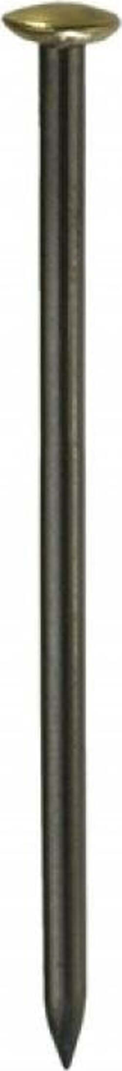 CONNEX---10-CHIODI-IN-ACCIAIO-CON-TESTA-RIVESTITA-IN-OTTONE-2,5X50MM-BLU