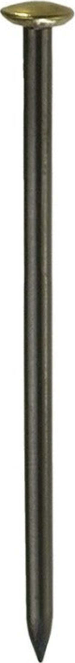 CONNEX---12-CHIODI-IN-ACCIAIO-CON-TESTA-RIVESTITA-IN-OTTONE-2,0X20-BLU