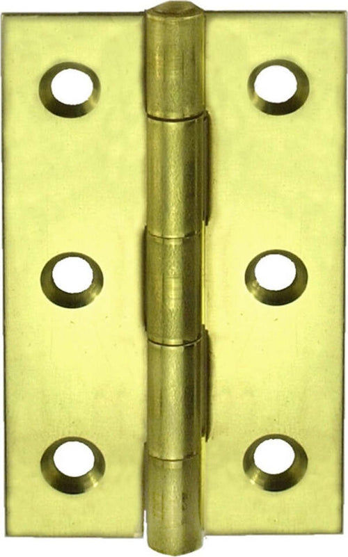 CONNEX---2-CERNIERE-STRETTE-TROPICALIZZATE-50X31MM