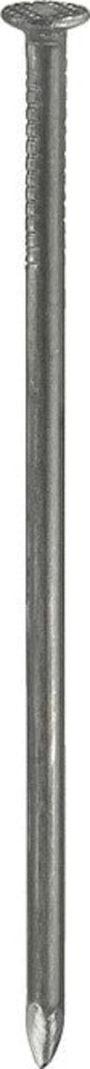 CONNEX---CHIODI-TESTA-PIANA-2,5X55-LUCIDI-160GR