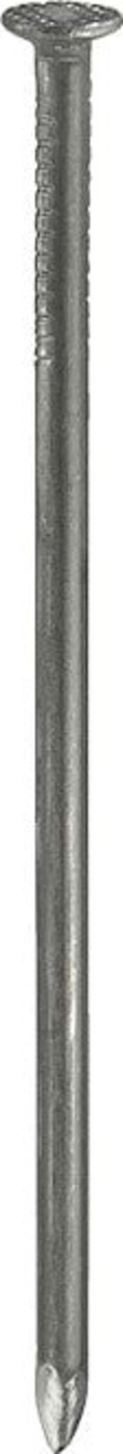 CONNEX---CHIODI-TESTA-PIANA-2,5X55-LUCIDI-160GR