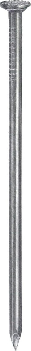 CONNEX---CHIODI-TESTA-PIANA-ZINCATI-mm-2,5X55-GR.160