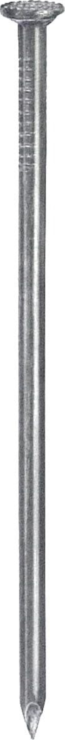 CONNEX---CHIODI-TESTA-PIANA-ZINCATI-mm-2,8X65-GR.200