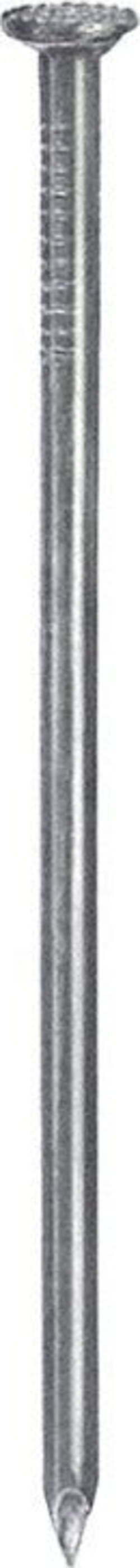 CONNEX--CHIODI-TESTA-PIANA-ZINCATI-1,4X25-GR.90