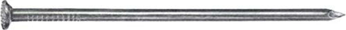 CONNEX-MASIDEF---1,5KG-CHIODI-TESTE-PIANA-IN-SECCHIELLO-3,1x80-mm