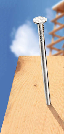 CONNEX-MASIDEF---1,5KG-CHIODI-TESTE-PIANA-IN-SECCHIELLO-3,1x80-mm