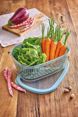 Contenitore alimenti Snips 000768 AROMA KEEPER Azzurro Casa e cucina/Organizzazione interni/Contenitori e barattoli da cucina/Conservazione cibi/Contenitori per alimenti/Contenitori Scontolo.net - Potenza, Commerciovirtuoso.it
