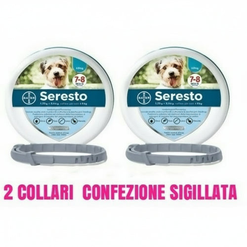 2 collari cane piccolo